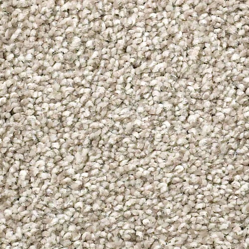 Shaw Simply the Best Montage II Carpet in Shoreline Haze
