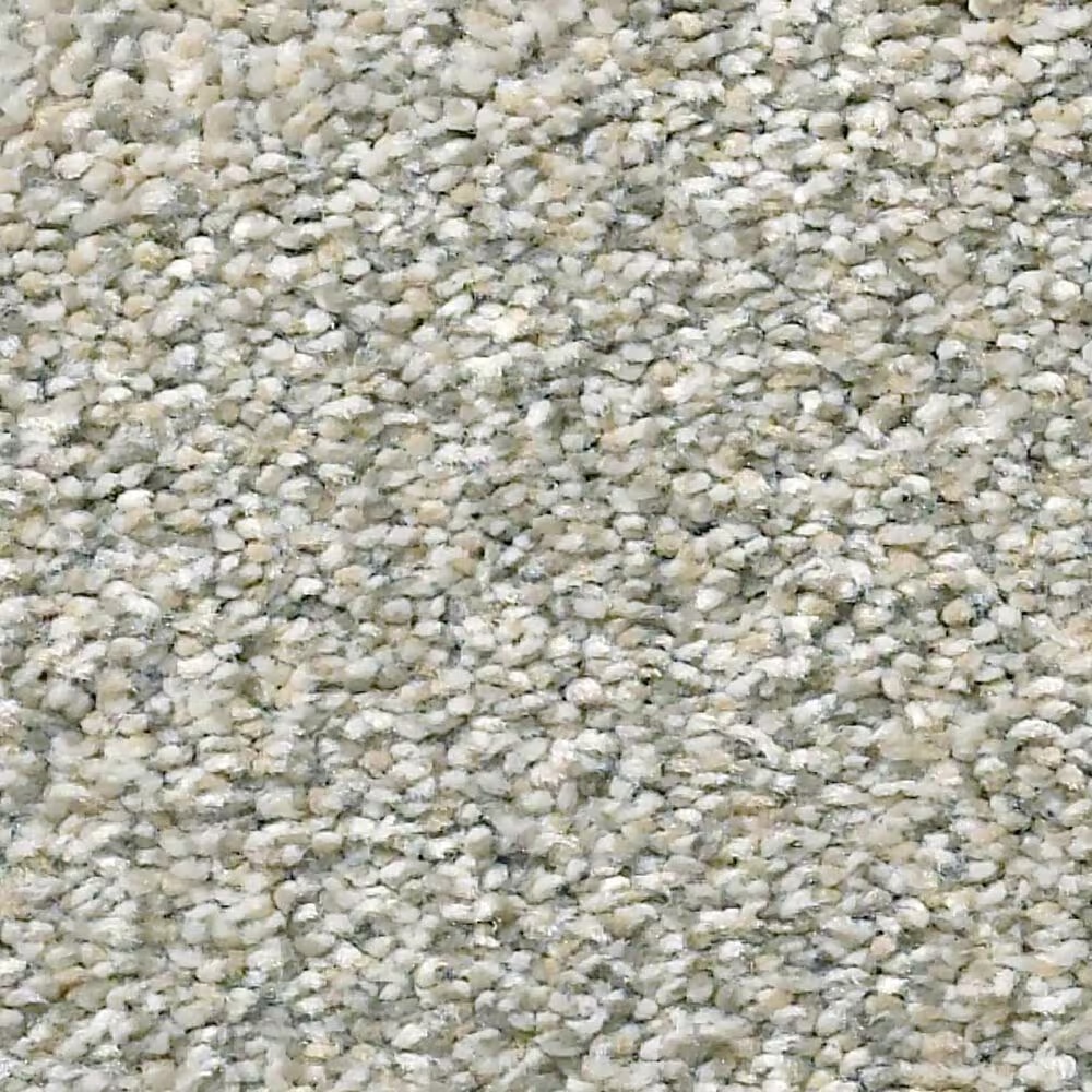 Shaw Simply the Best Montage II Carpet in Morning Frost