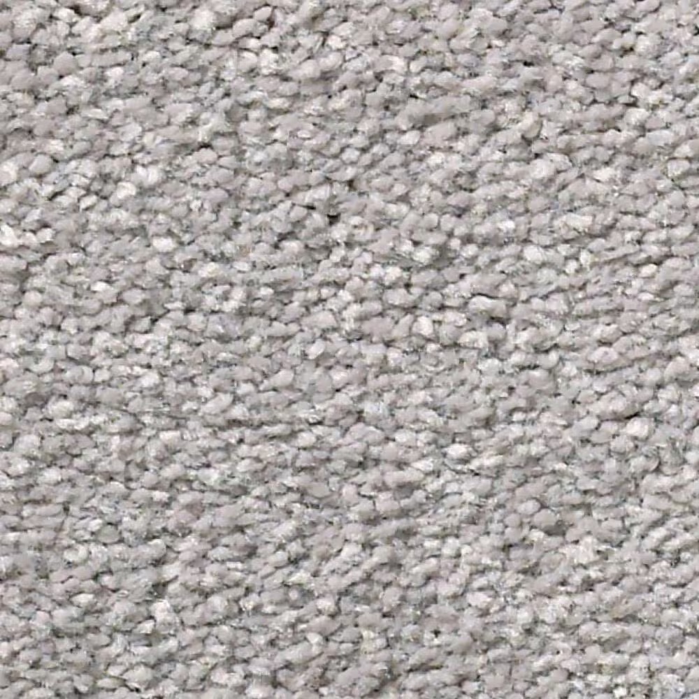 Shaw Simply the Best Montage II Carpet in Classic Silver
