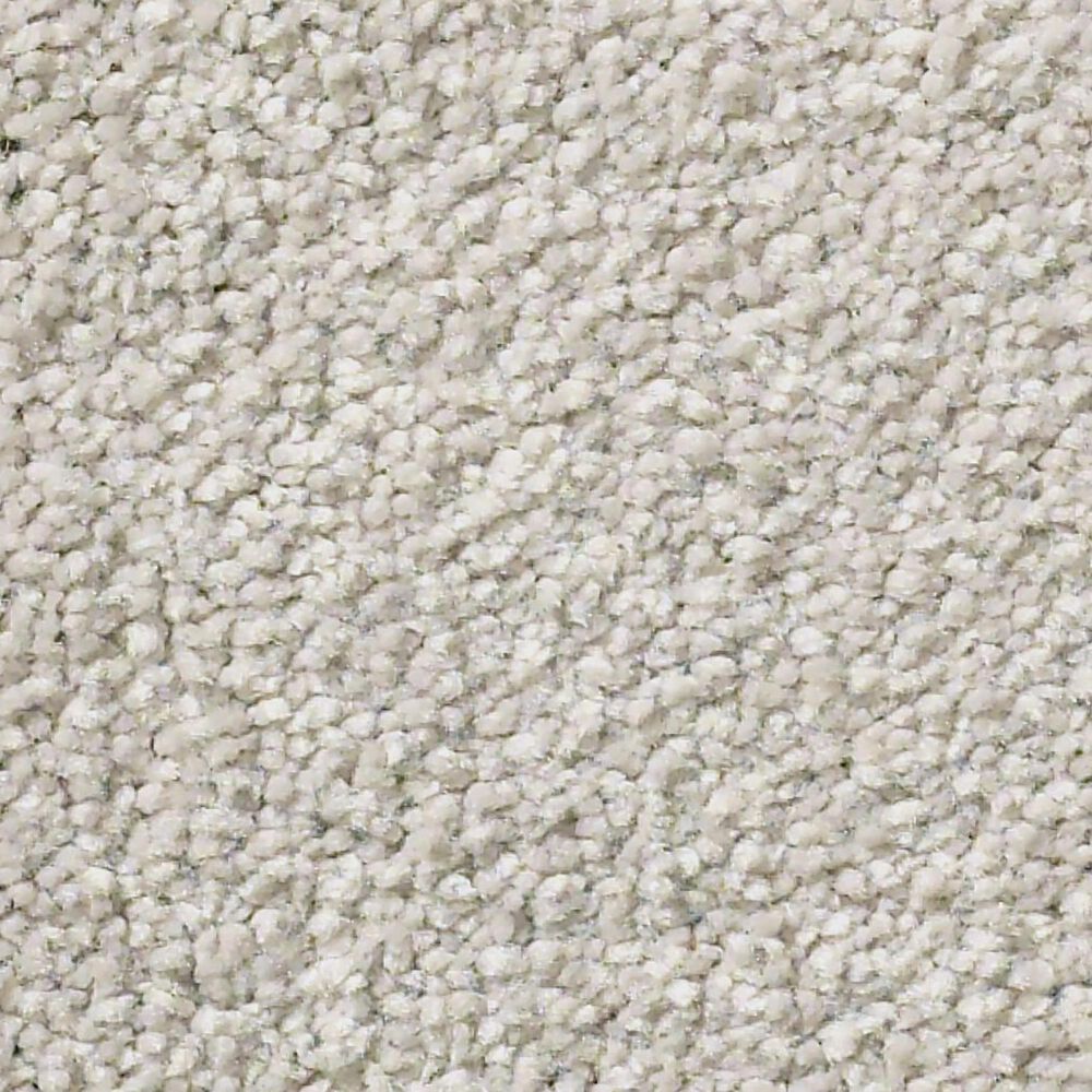 Shaw Simply the Best Montage II Carpet in Sculptor Clay