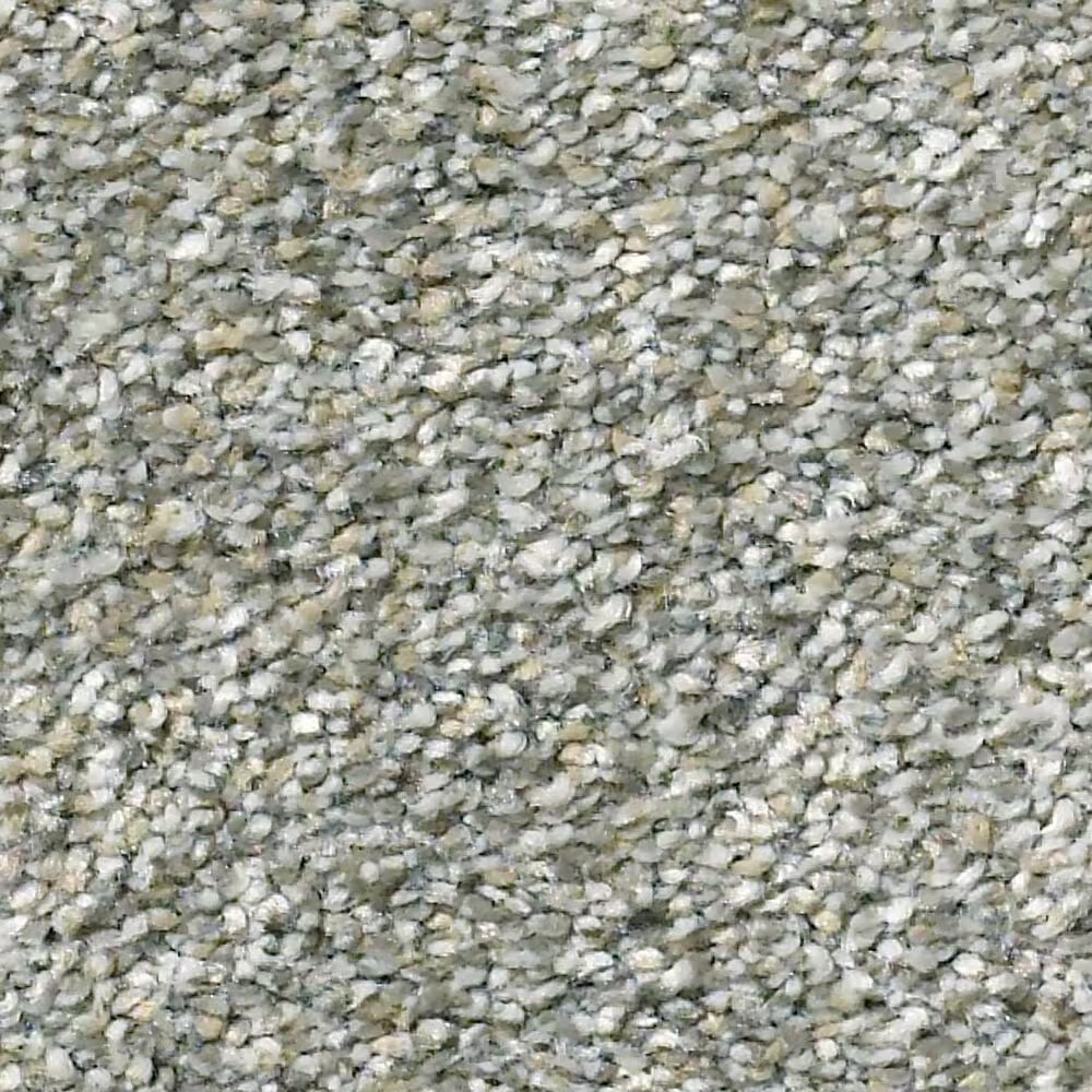 Shaw Simply the Best Montage II Carpet in Adobe