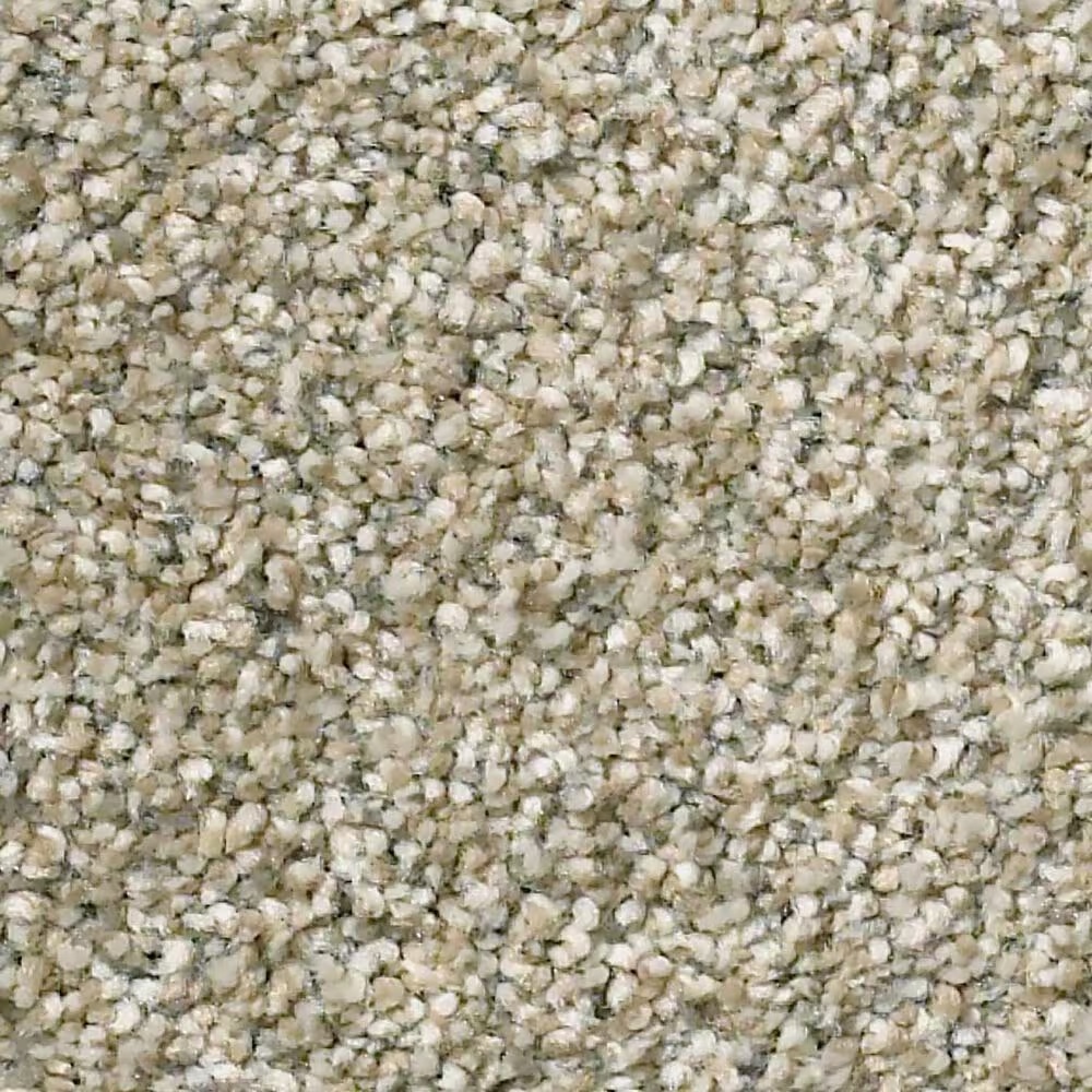 Shaw Simply the Best Montage II Carpet in Lunar Surface