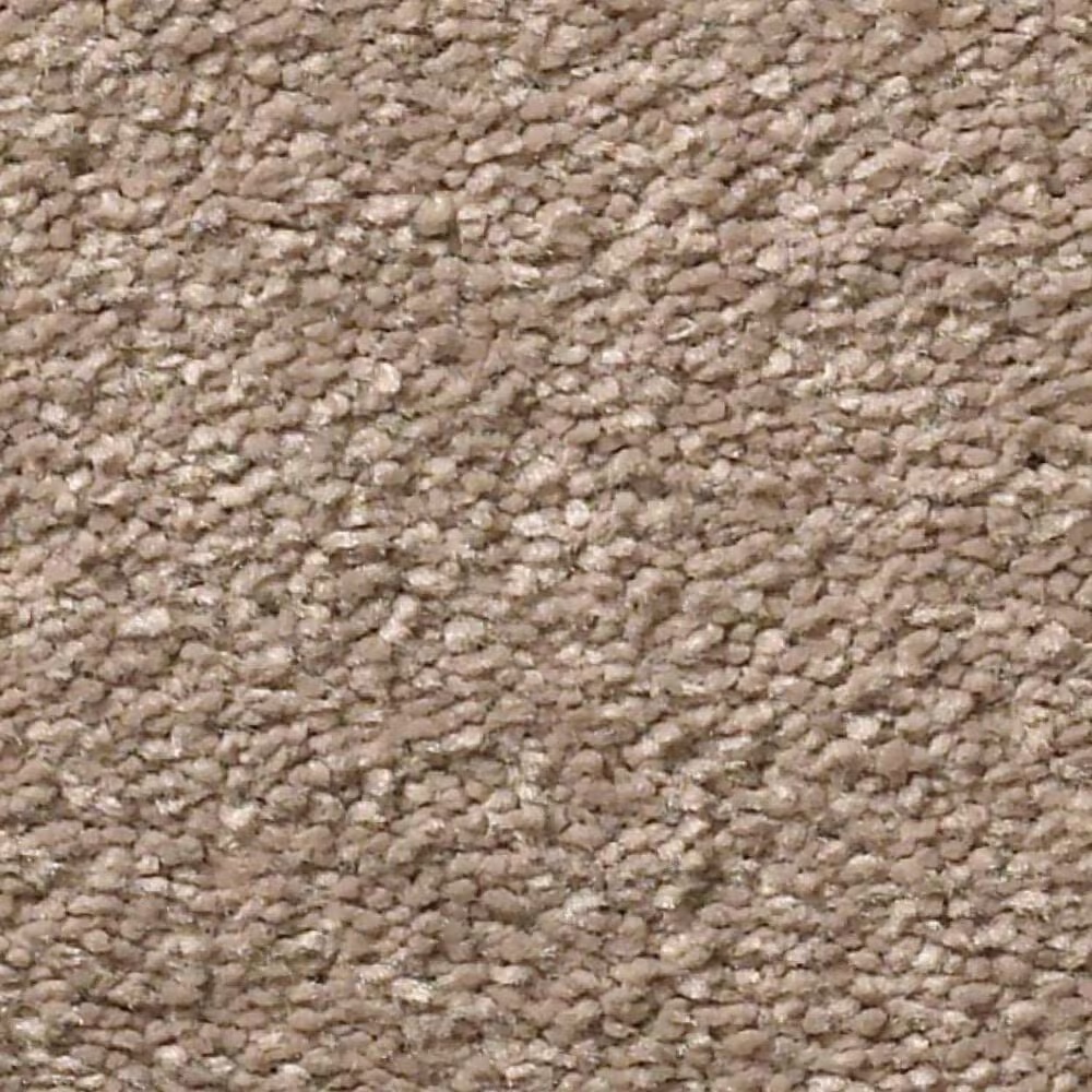 Shaw Simply the Best Montage II Carpet in Hidden Treasure