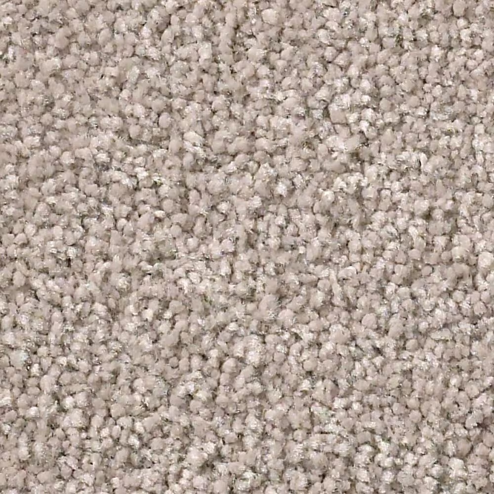 Shaw Simply the Best Montage II Carpet in Parisian Lights