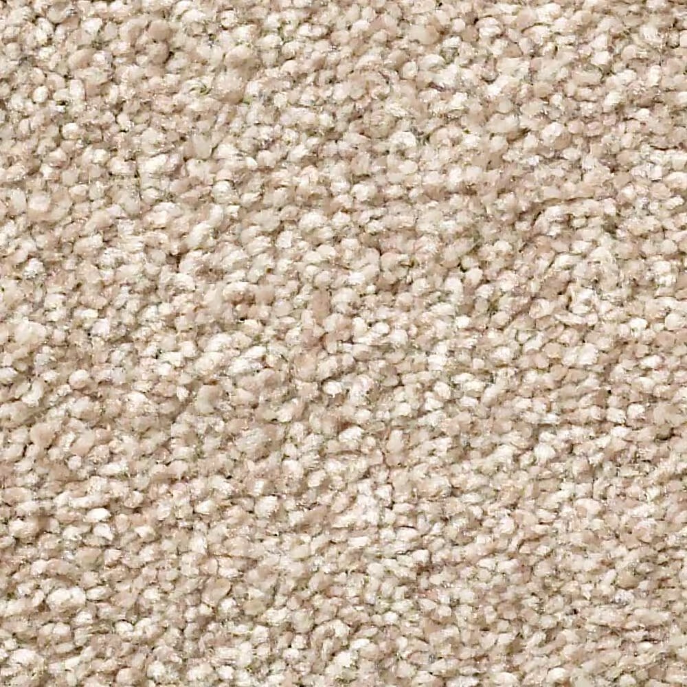 Shaw Simply the Best Montage II Carpet in Chateau