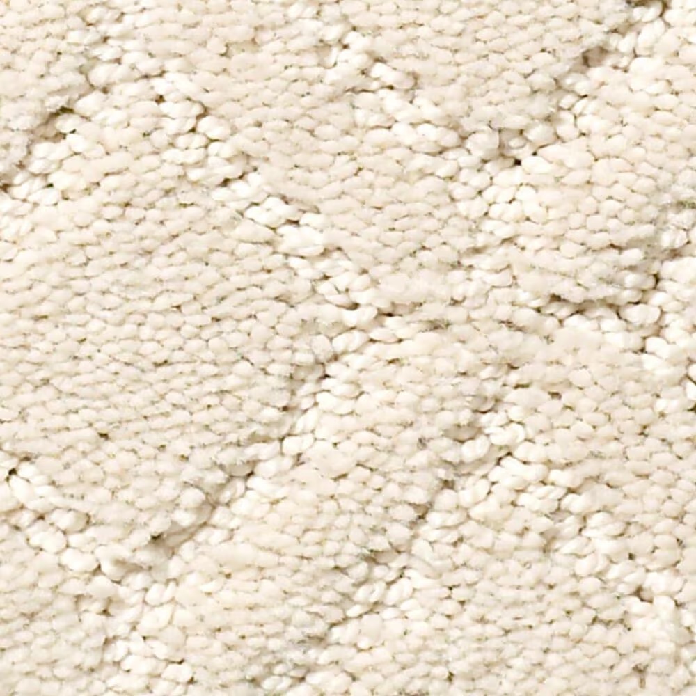 Anderson Tuftex Muse Carpet in Salt Box