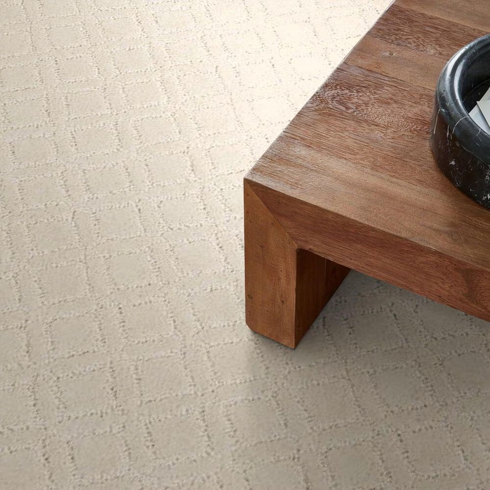 34527-anderson-tuftex-muse-carpet-in-salt-box-1.jpg