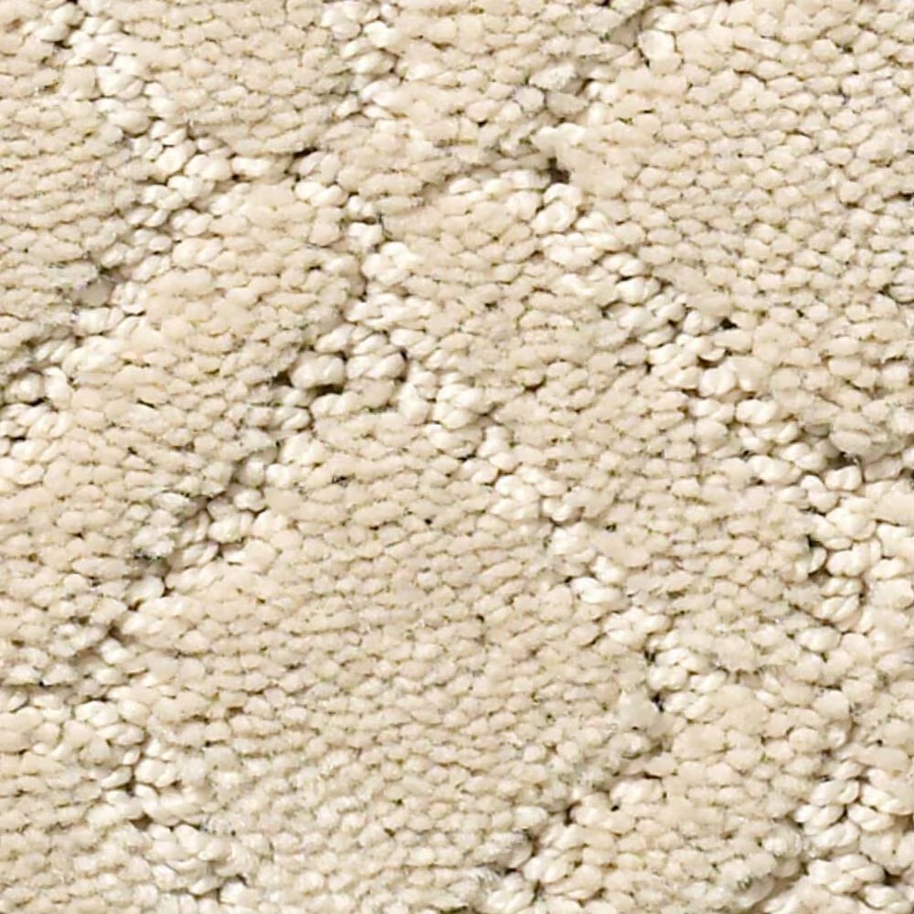 Anderson Tuftex Muse Carpet in Morning Light