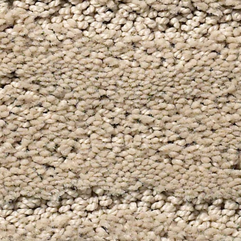 Anderson Tuftex Pose Carpet in Oak Ridge