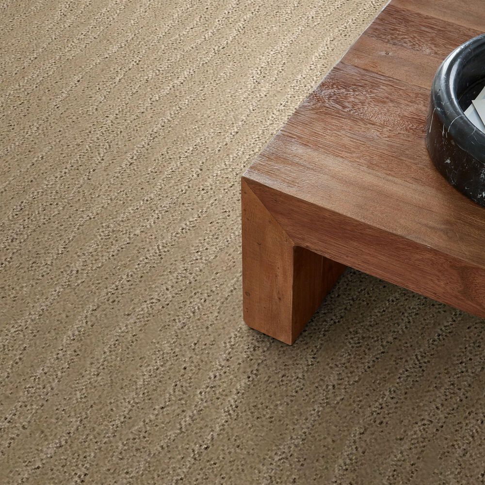 34529-anderson-tuftex-pose-carpet-in-oak-ridge-1.jpg