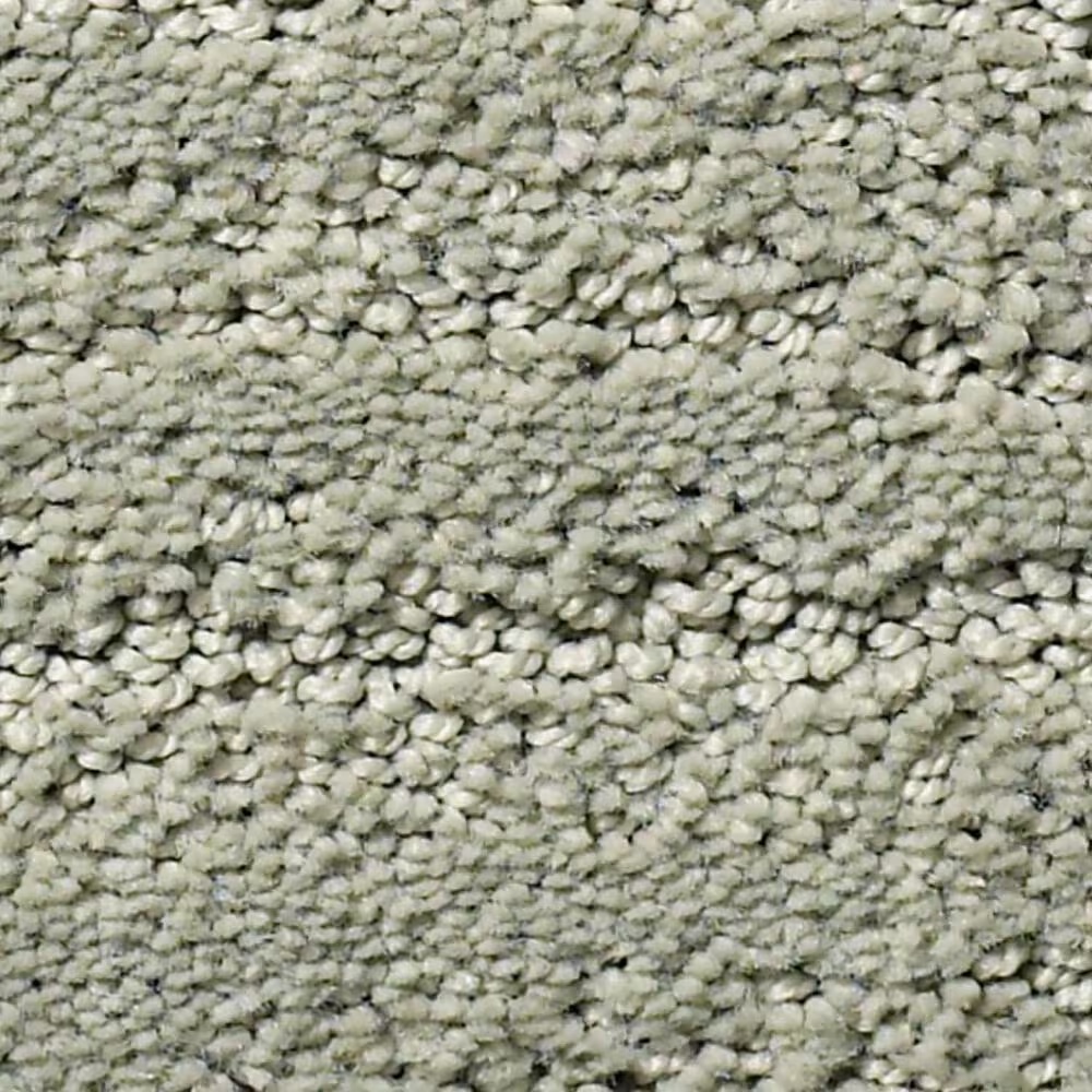 Anderson Tuftex Pose Carpet in Rain Dance