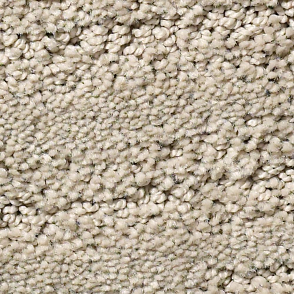 Anderson Tuftex Pose Carpet in Inner Balance