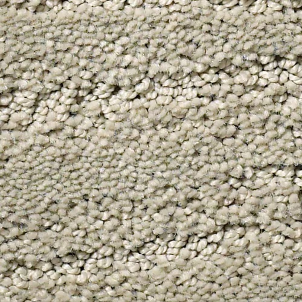Anderson Tuftex Pose Carpet in Half Moon