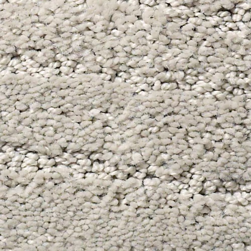 Anderson Tuftex Pose Carpet in Gentle Gray