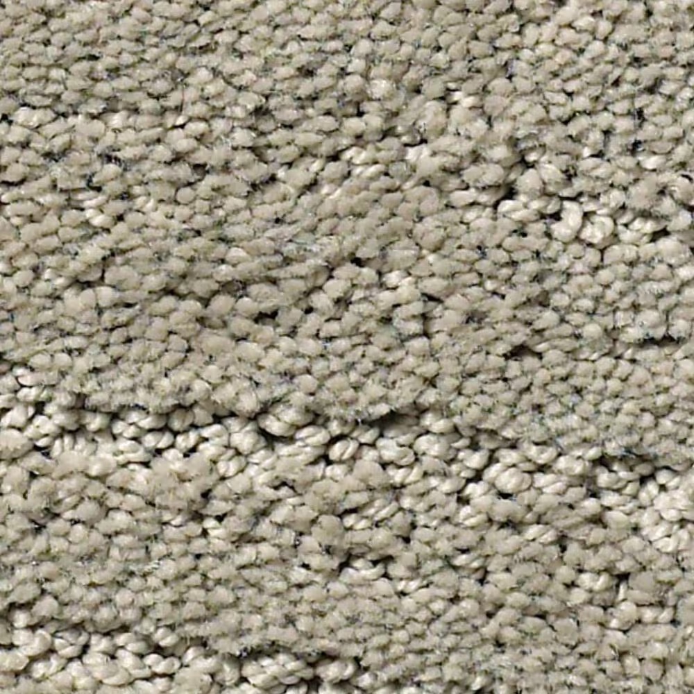 Anderson Tuftex Pose Carpet in Cumulus