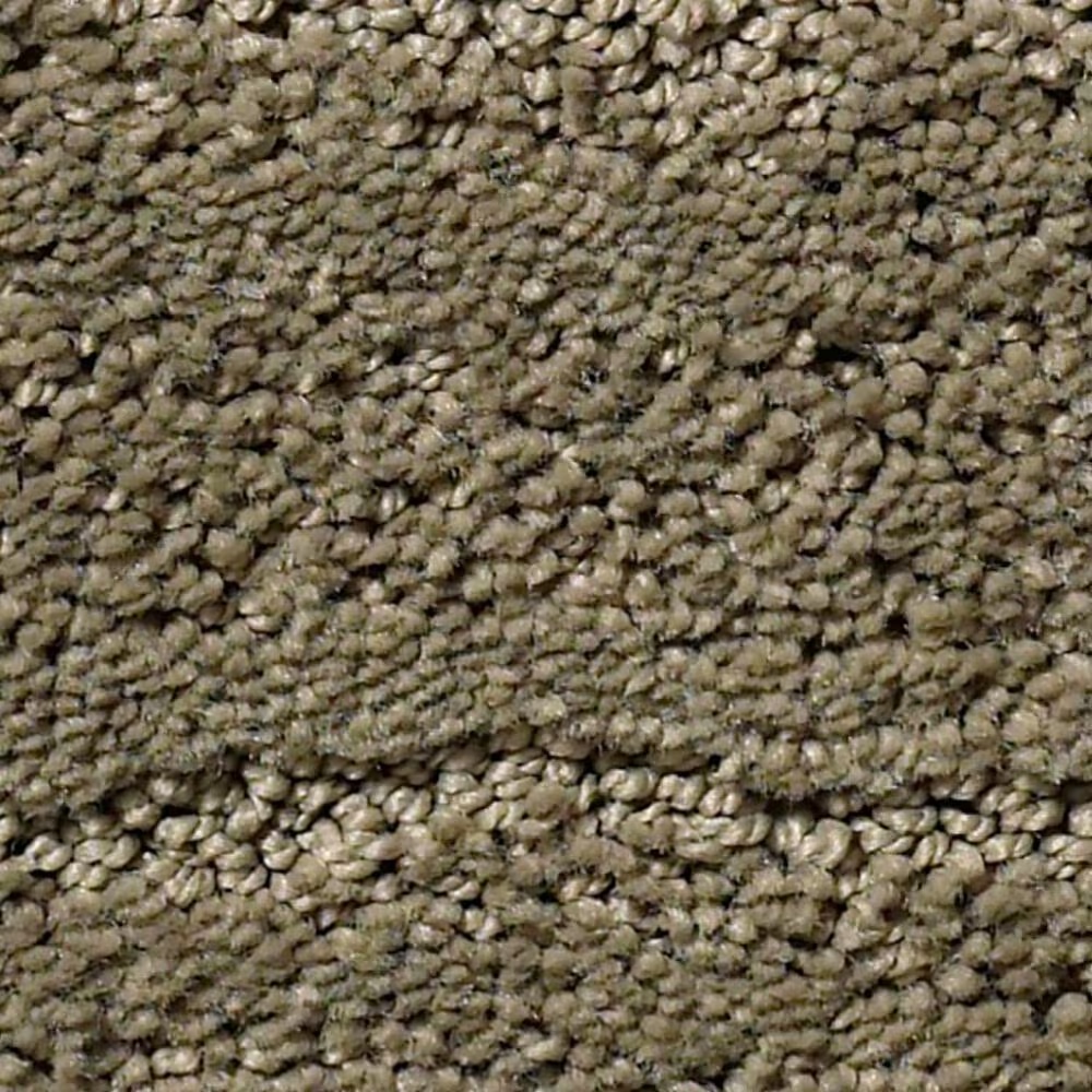 Anderson Tuftex Pose Carpet in Herbal