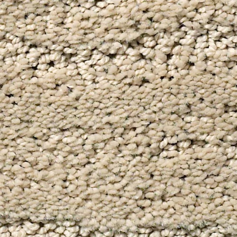 Anderson Tuftex Pose Carpet in Bungalow