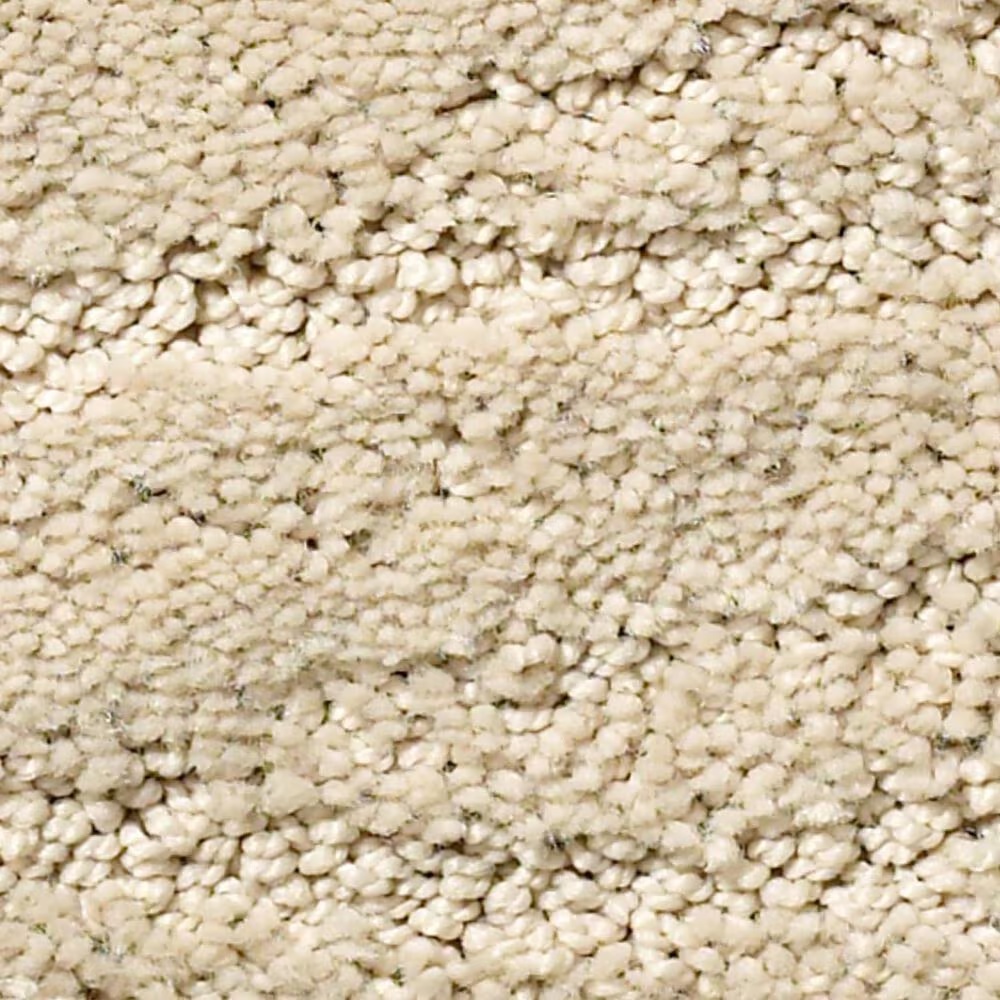Anderson Tuftex Pose Carpet in Morning Light