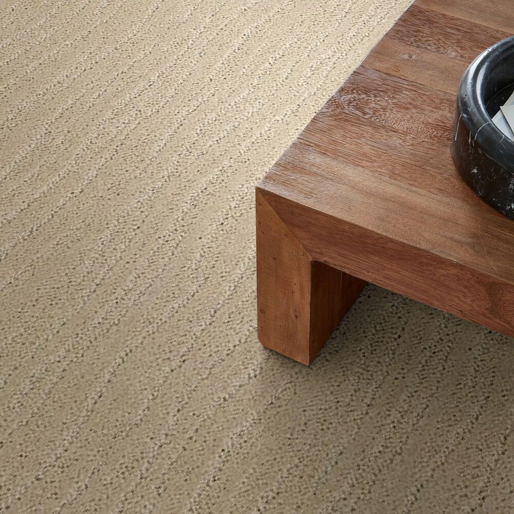 34541-anderson-tuftex-pose-carpet-in-morning-light-1.jpg