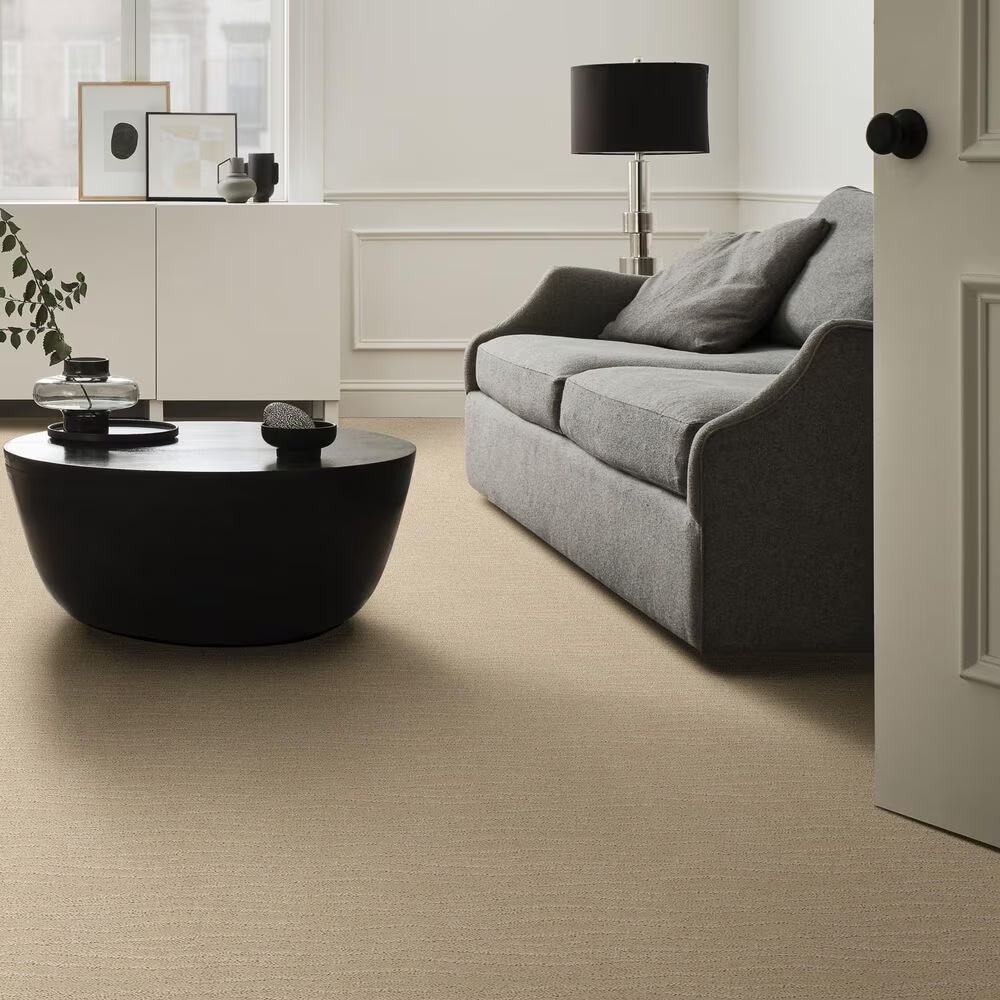 34541-anderson-tuftex-pose-carpet-in-morning-light-1.jpg