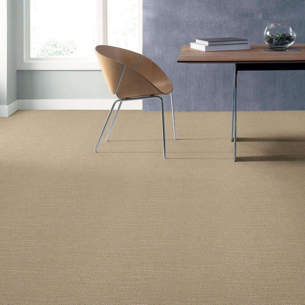 34541-anderson-tuftex-pose-carpet-in-morning-light-1.jpg