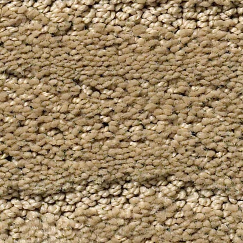 Anderson Tuftex Pose Carpet in Folklore