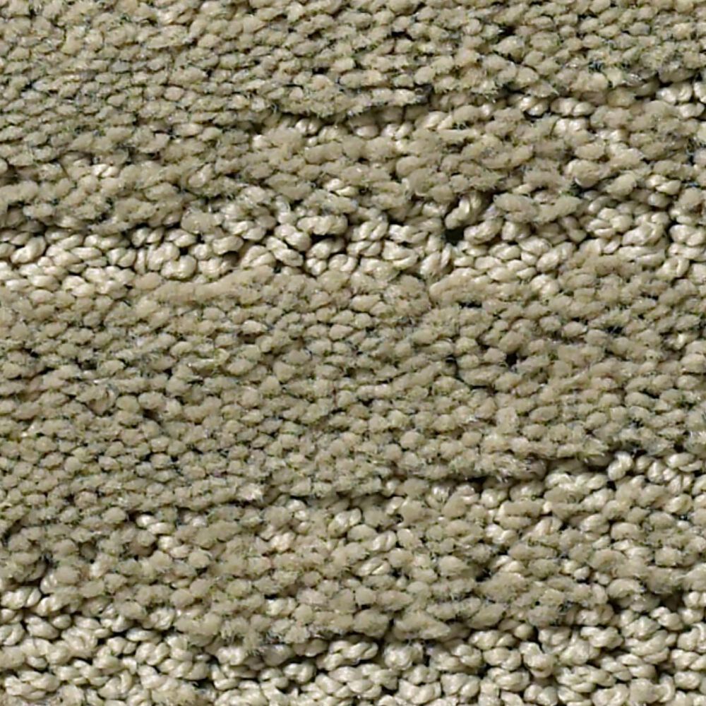 Anderson Tuftex Pose Carpet in Imperial