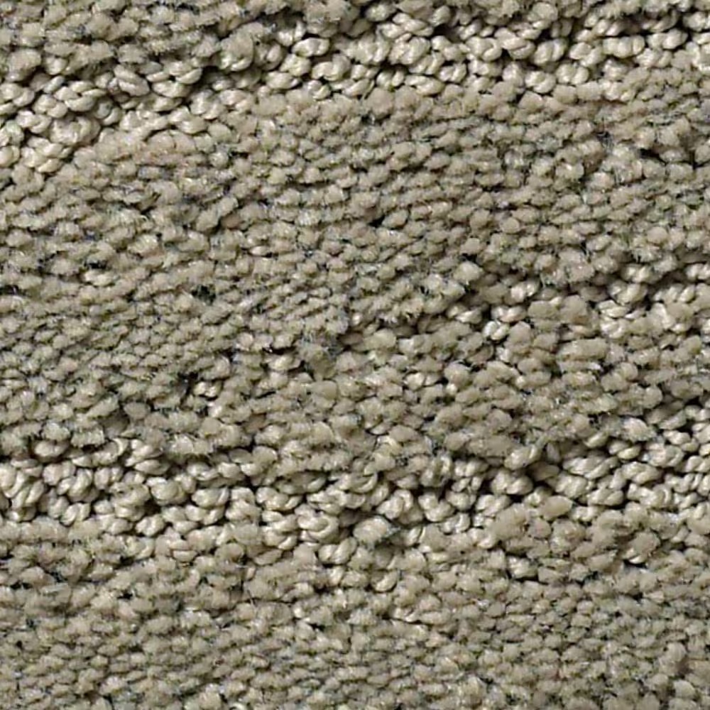 Anderson Tuftex Pose Carpet in Intrigue