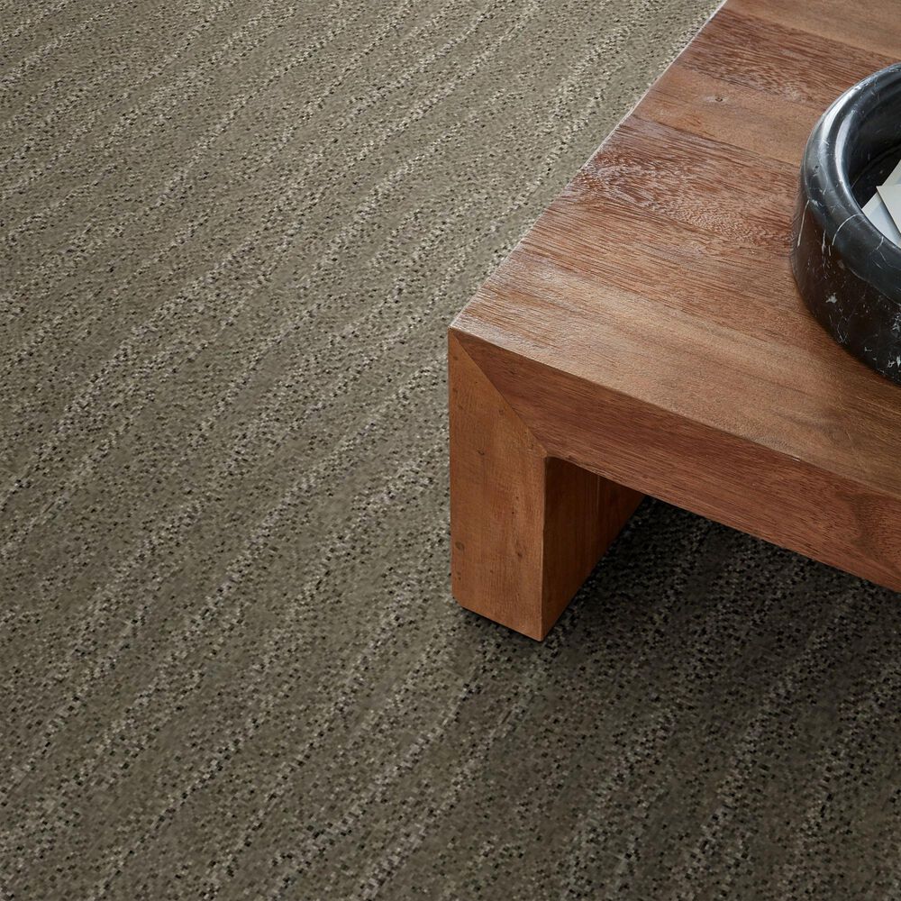 34545-anderson-tuftex-pose-carpet-in-intrigue-1.jpg