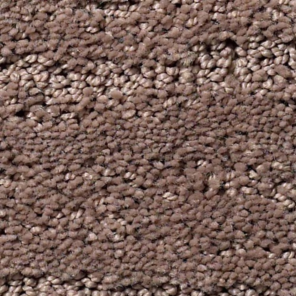 Anderson Tuftex Pose Carpet in Enigma