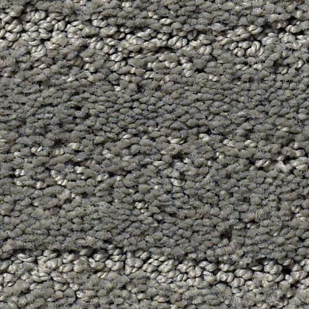 Anderson Tuftex Pose Carpet in Magical