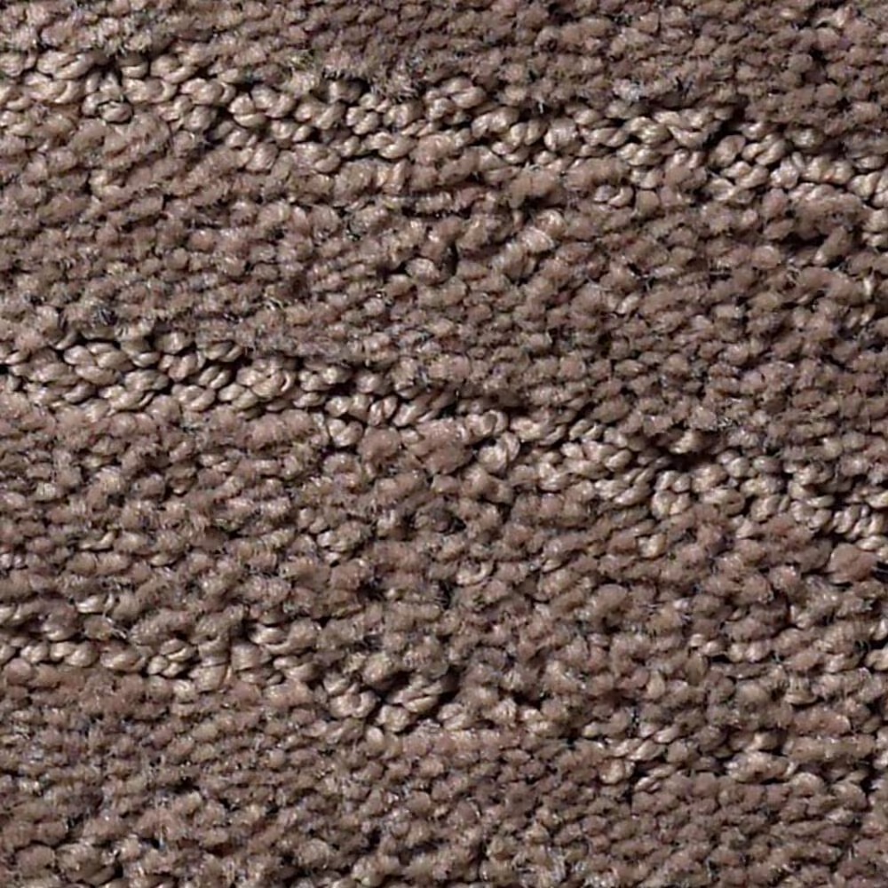 Anderson Tuftex Pose Carpet in Chantrelle