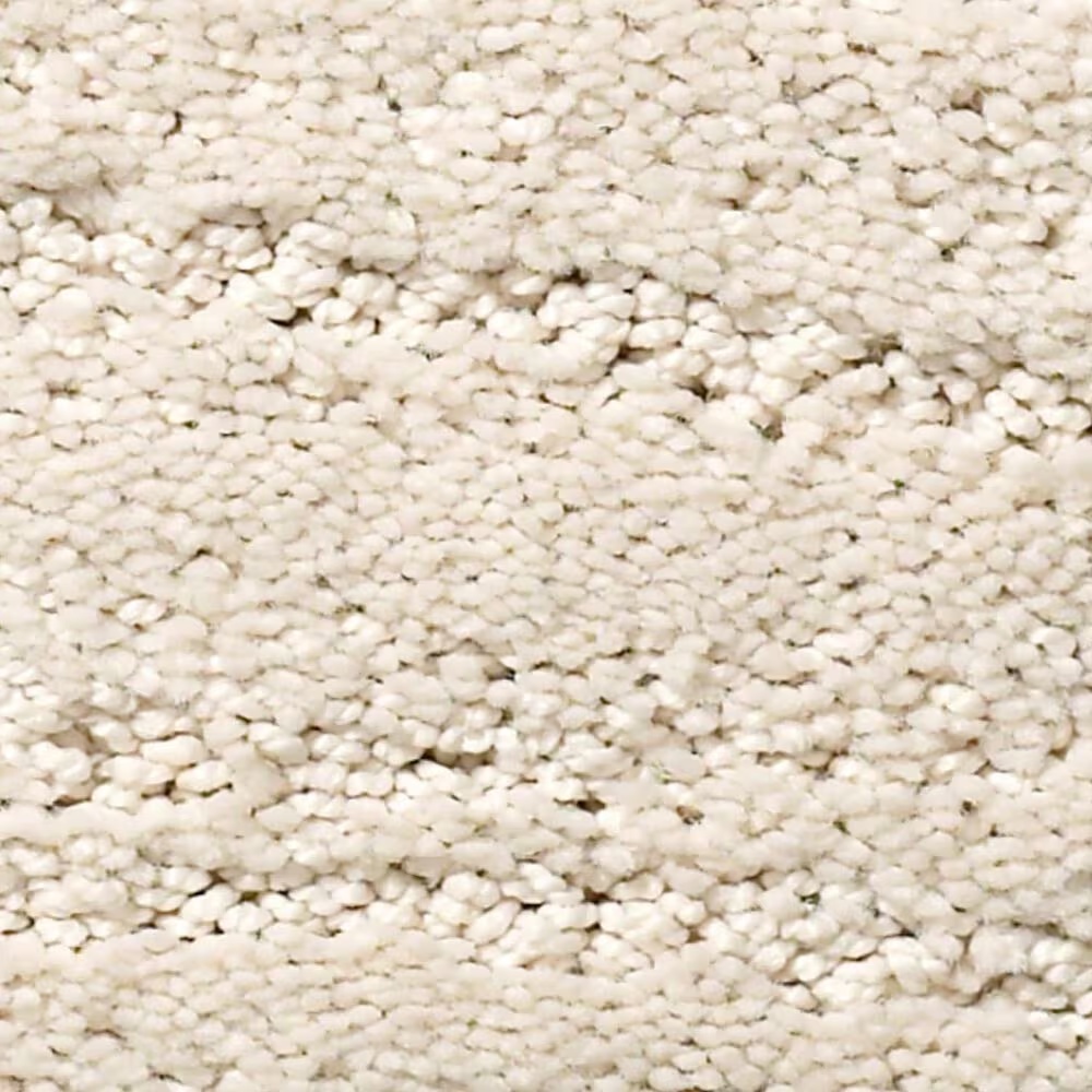 Anderson Tuftex Pose Carpet in Salt Box