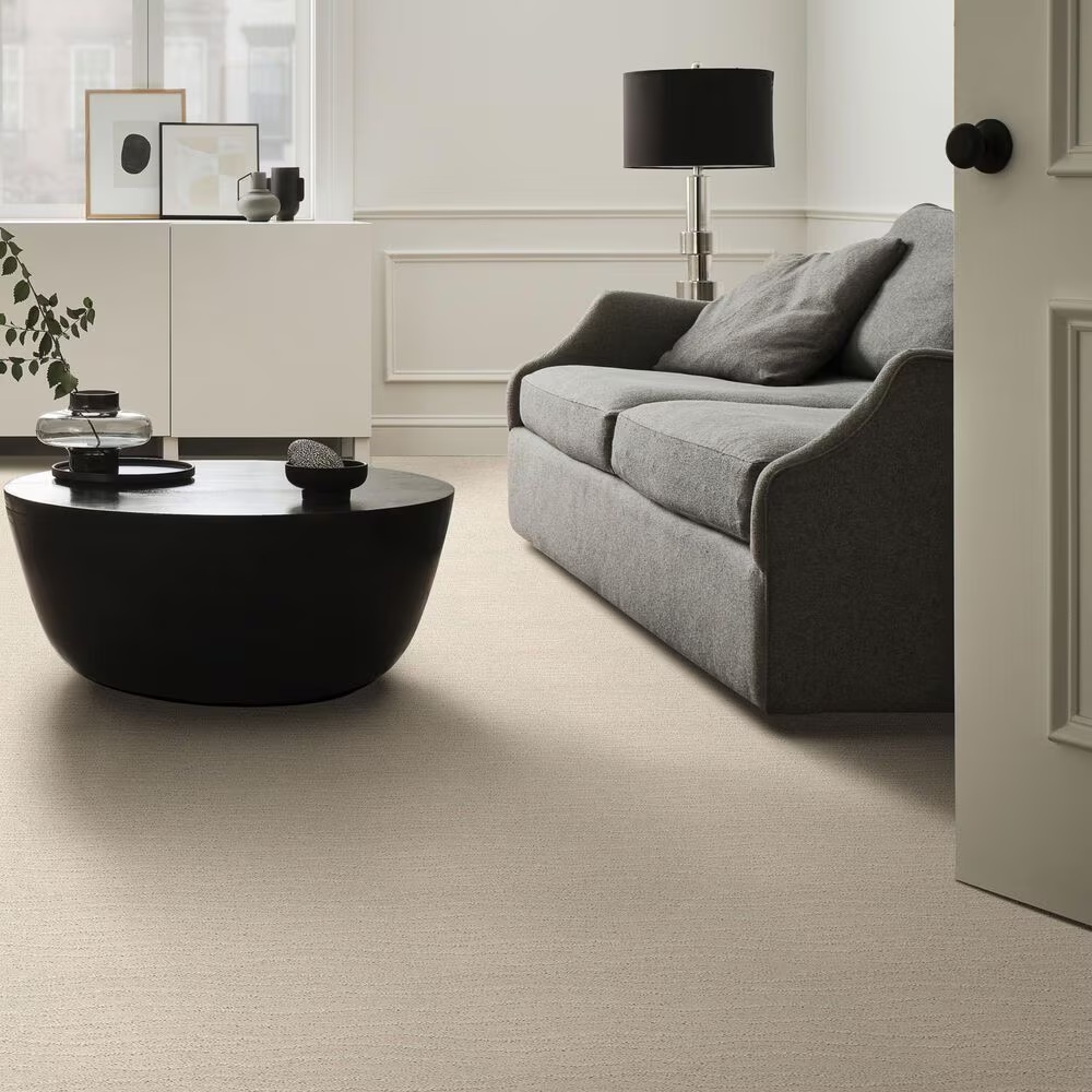 34552-anderson-tuftex-pose-carpet-in-salt-box-1.jpg