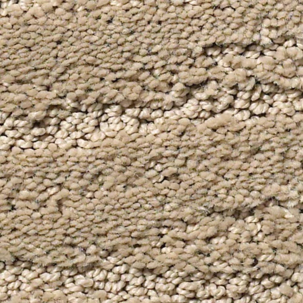 Anderson Tuftex Pose Carpet in Coronado
