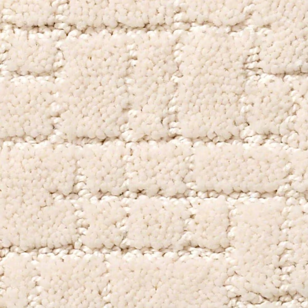 Anderson Tuftex New Tricks Carpet in Barely Beige