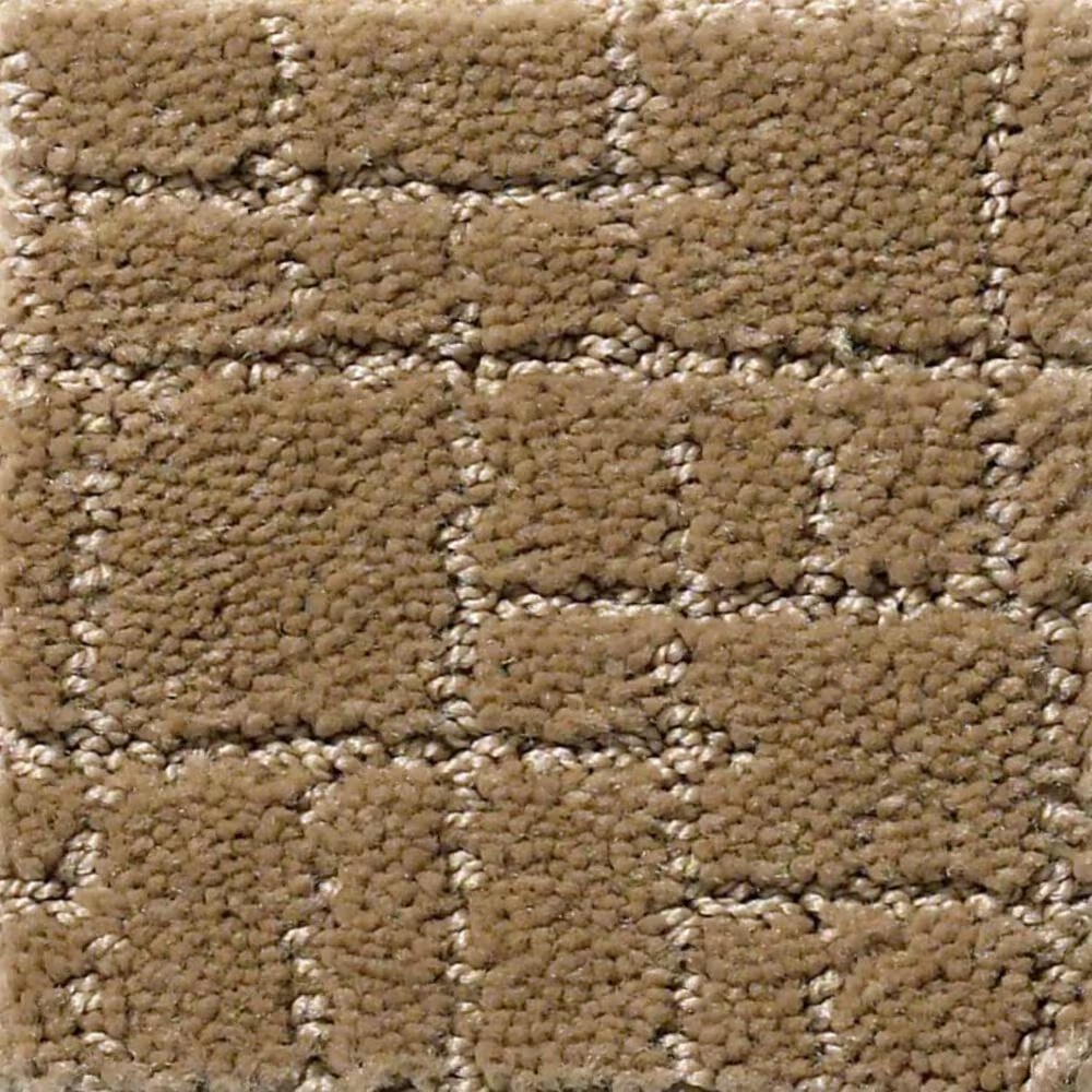 Anderson Tuftex New Tricks Carpet in Peanut Shell