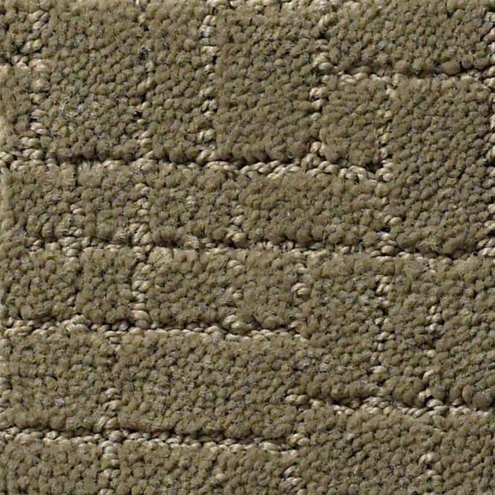 Anderson Tuftex New Tricks Carpet in Dry Sage