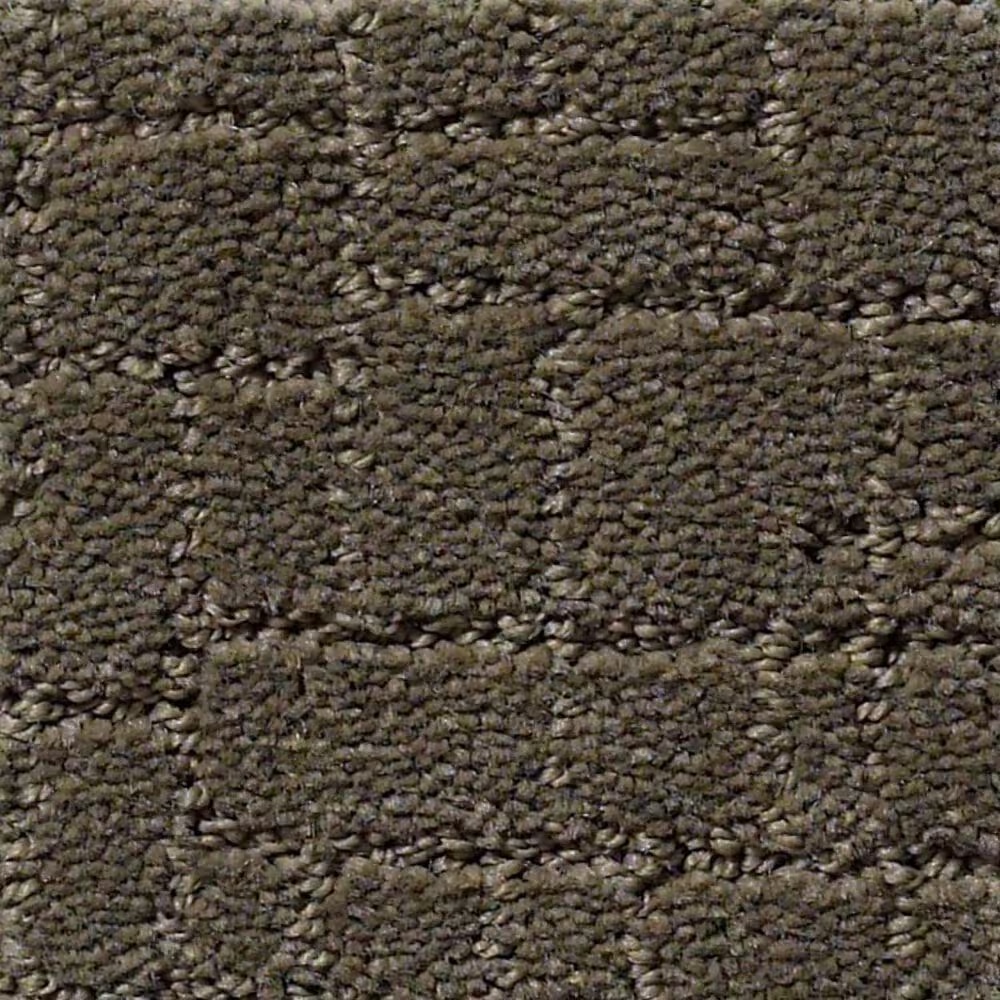 Anderson Tuftex New Tricks Carpet in Overcoat