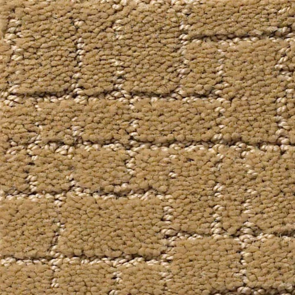 Anderson Tuftex New Tricks Carpet in Golden Straw
