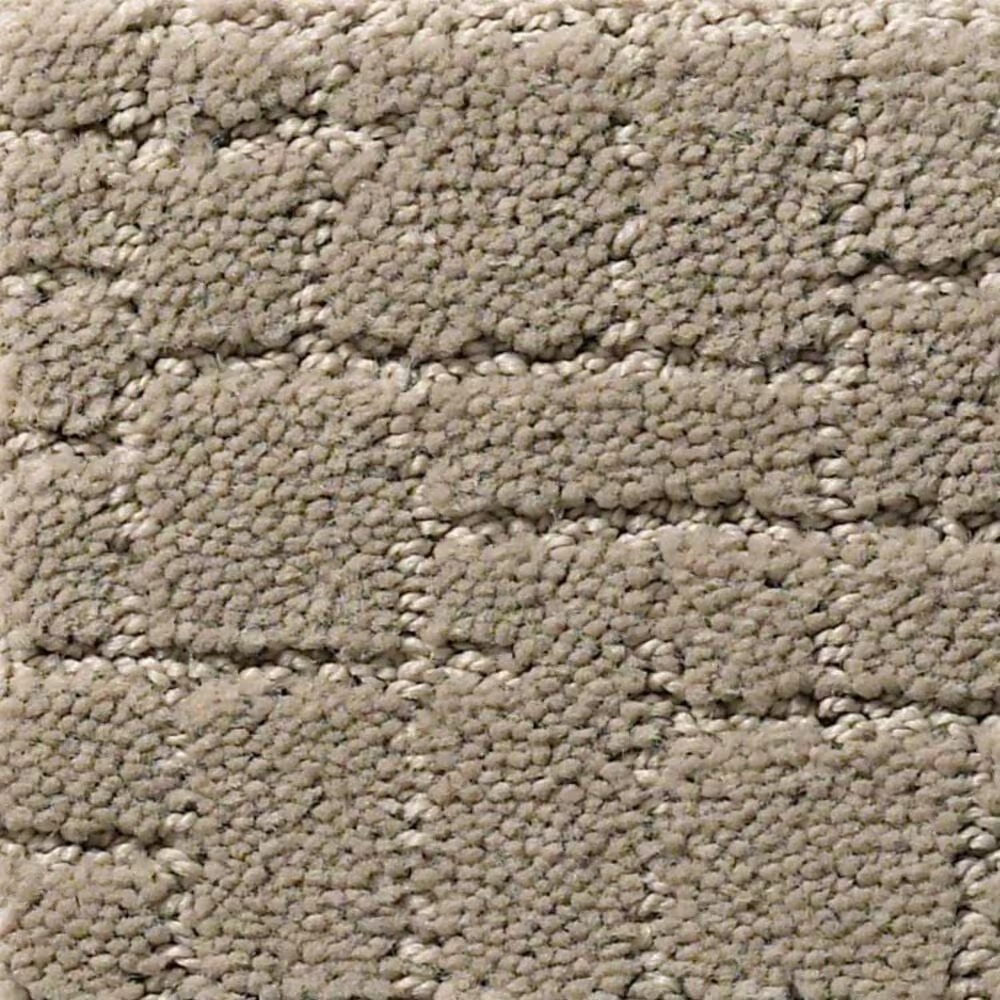 Anderson Tuftex New Tricks Carpet in Mocha Cream