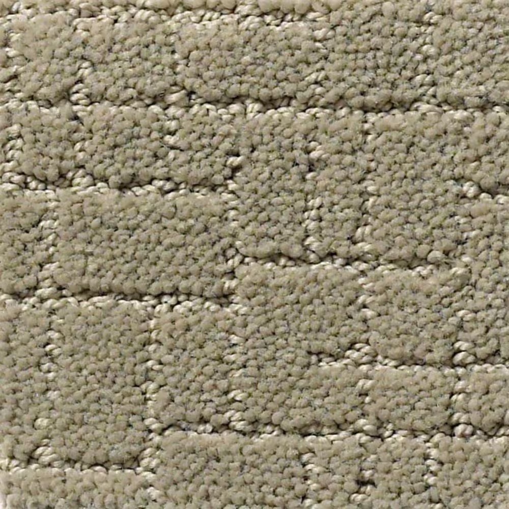Anderson Tuftex New Tricks Carpet in Gray Mirage