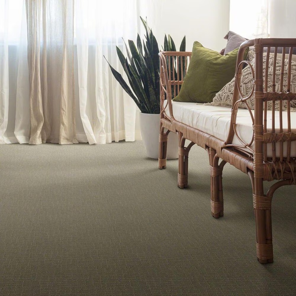 34884-anderson-tuftex-new-tricks-carpet-in-gray-mirage-1.jpg