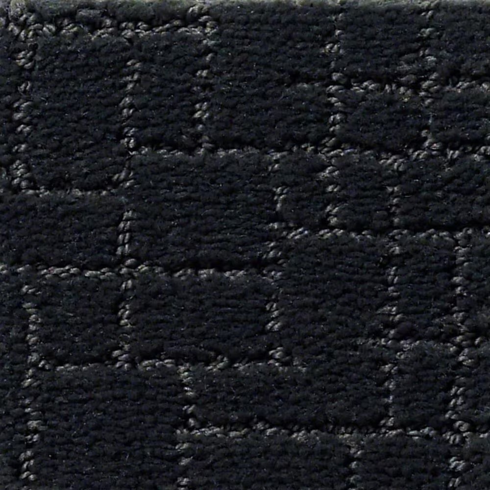 Anderson Tuftex New Tricks Carpet in Night Shade