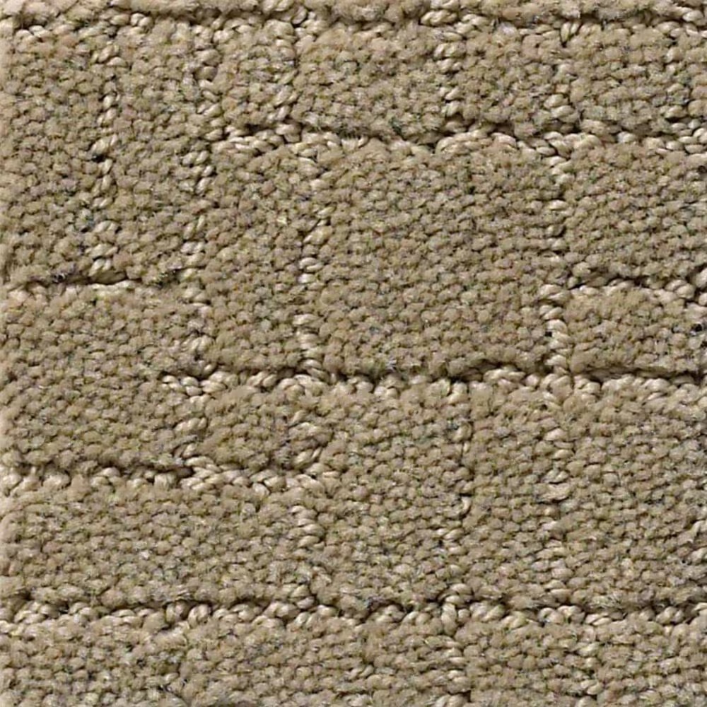 Anderson Tuftex New Tricks Carpet in Driftwood