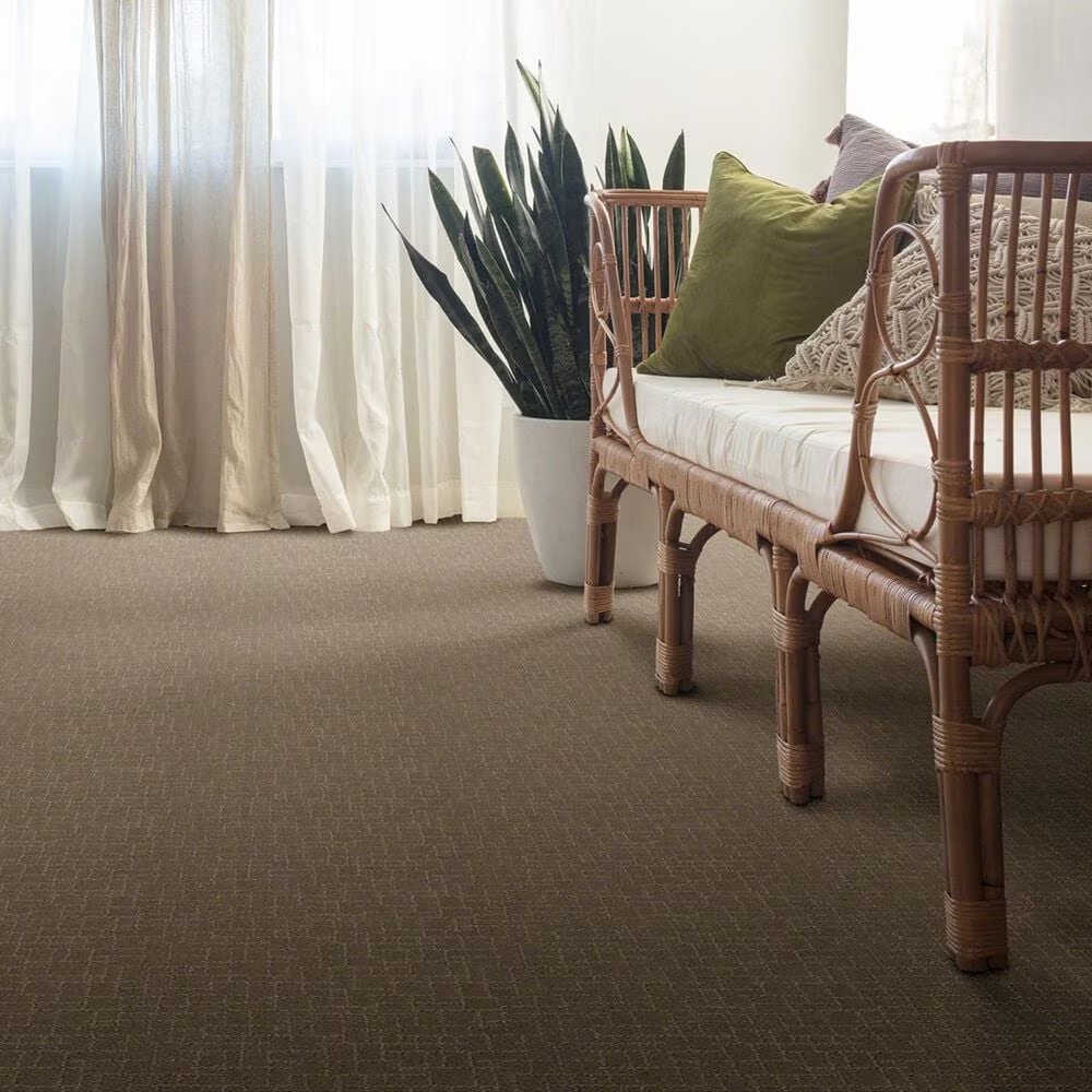 34934-anderson-tuftex-new-tricks-carpet-in-driftwood-1.jpg