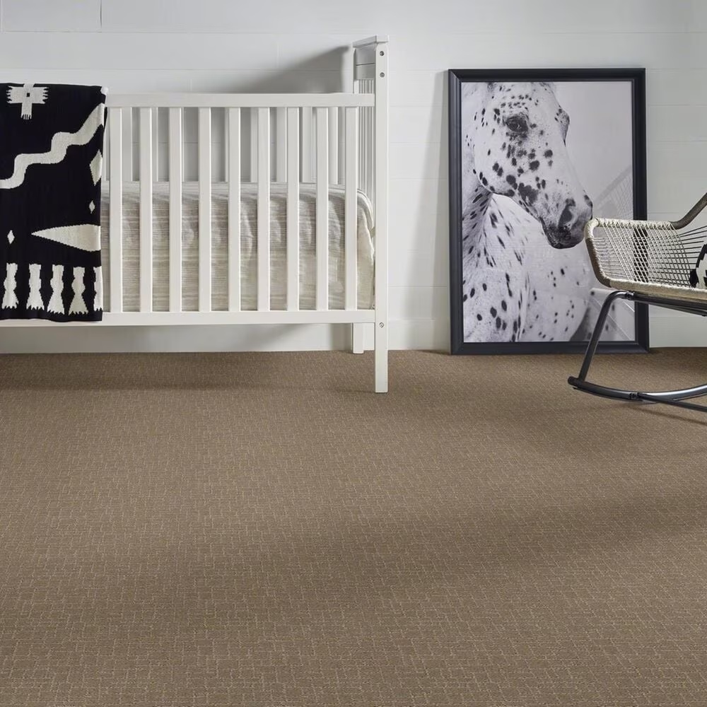 34934-anderson-tuftex-new-tricks-carpet-in-driftwood-1.jpg