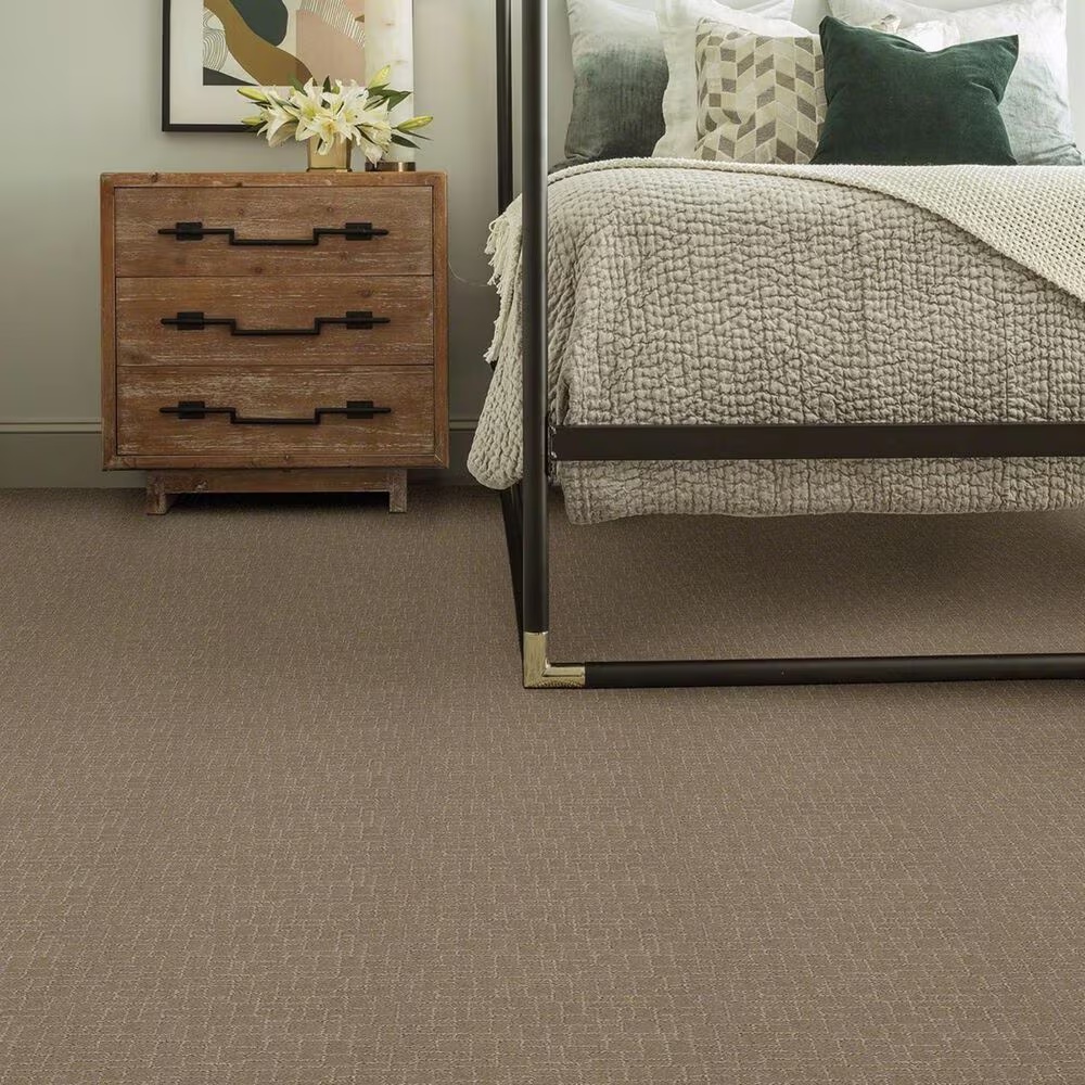 34934-anderson-tuftex-new-tricks-carpet-in-driftwood-1.jpg