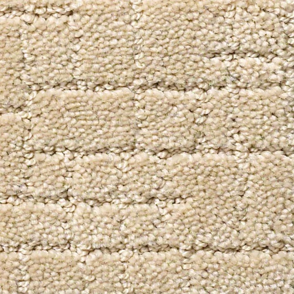 Anderson Tuftex New Tricks Carpet in Hazelnut