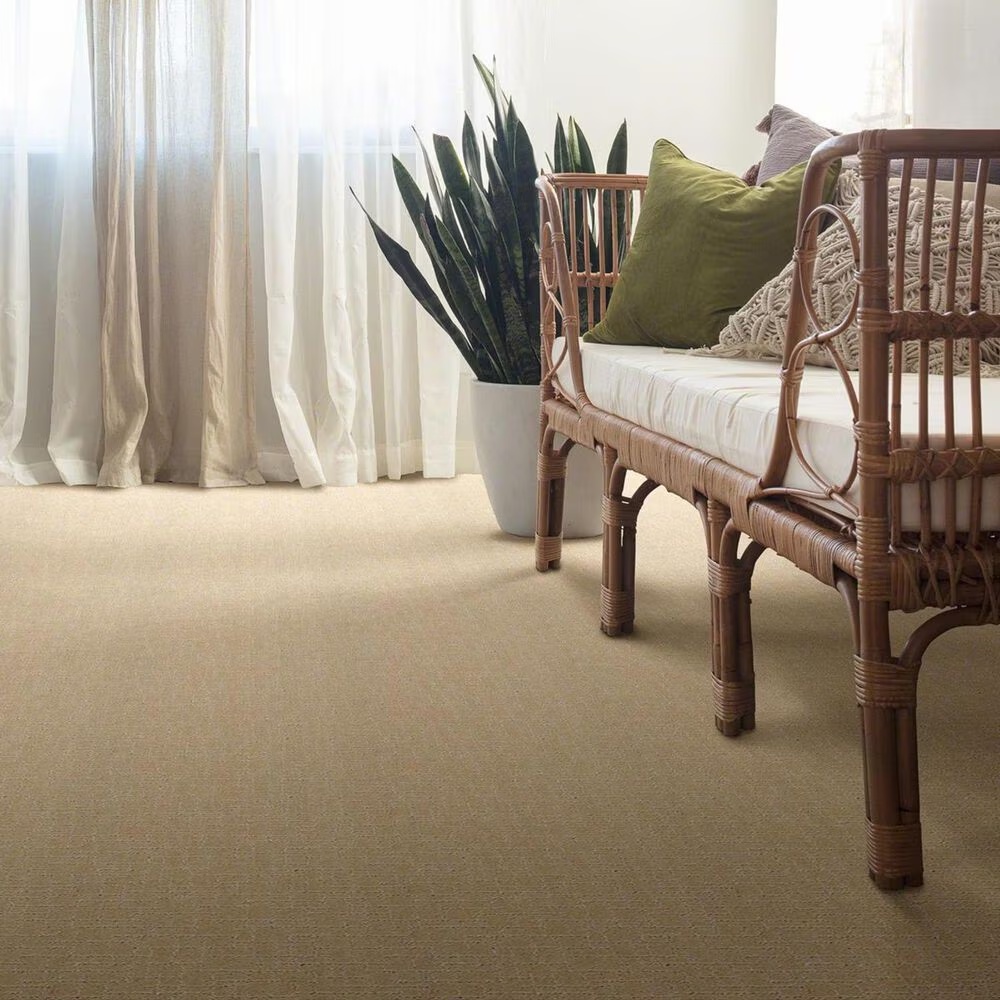 34959-anderson-tuftex-new-tricks-carpet-in-hazelnut-1.jpg